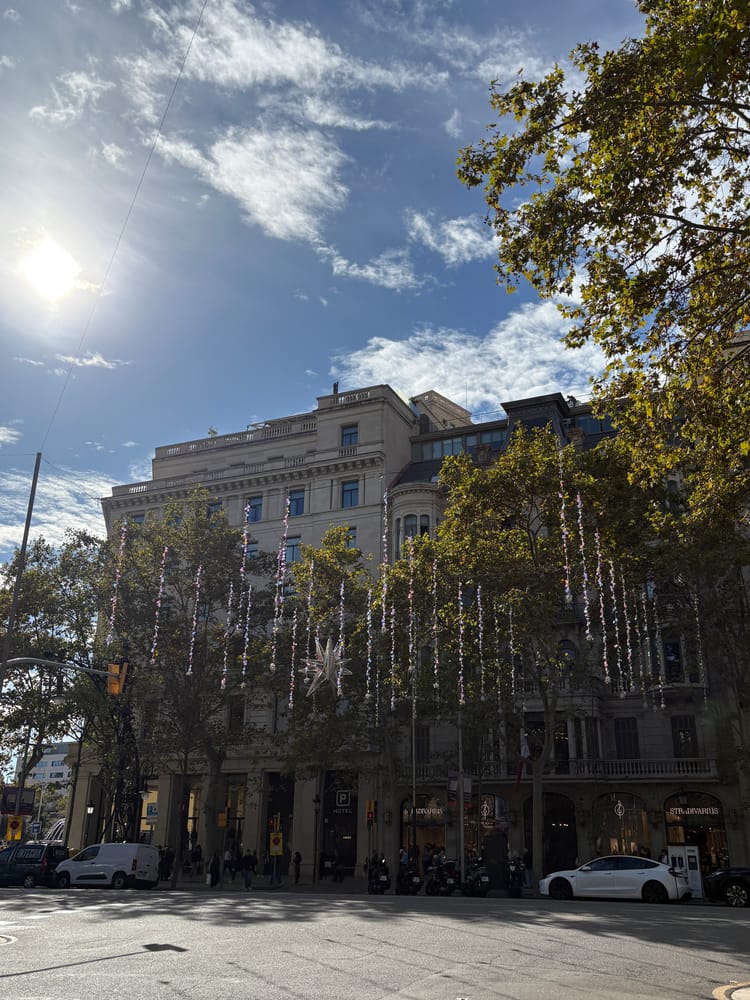 A building in Barcelona partially obscured by green-leafed trees and dangling streamers sparkling with sunlight under a bright blue sky.