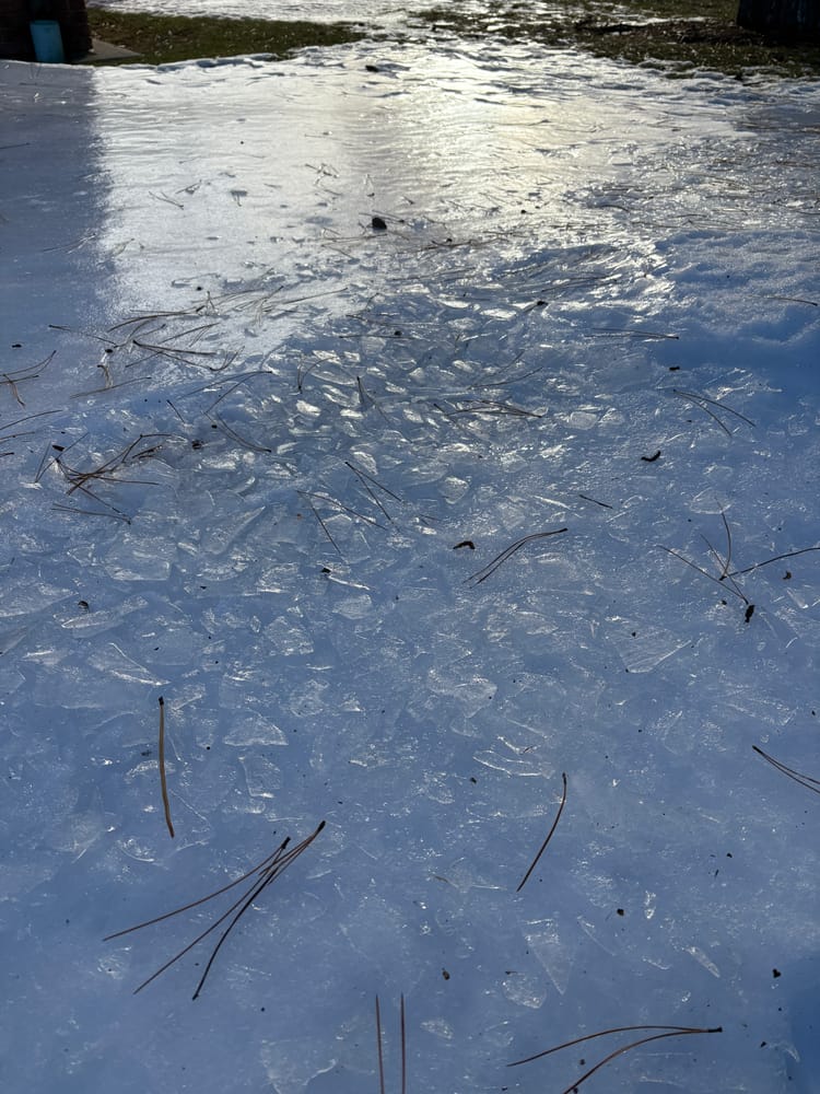 Most of the photo is taken up with the white-blue ice, which is smooth towards the top and breaks into chunks towards the bottom, strewn with dry pine needles.