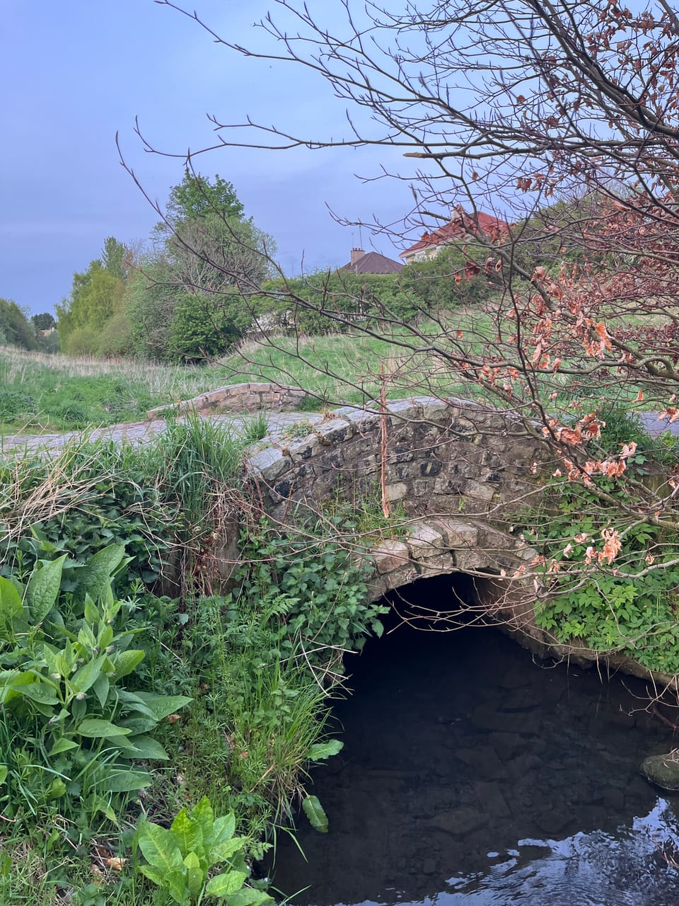 A small stone bridge over dark water, surrounded by spring greenery, partly obscured by bare branches under a grey sky.