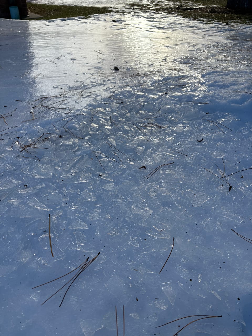 Most of the photo is taken up with the white-blue ice, which is smooth towards the top and breaks into chunks towards the bottom, strewn with dry pine needles.